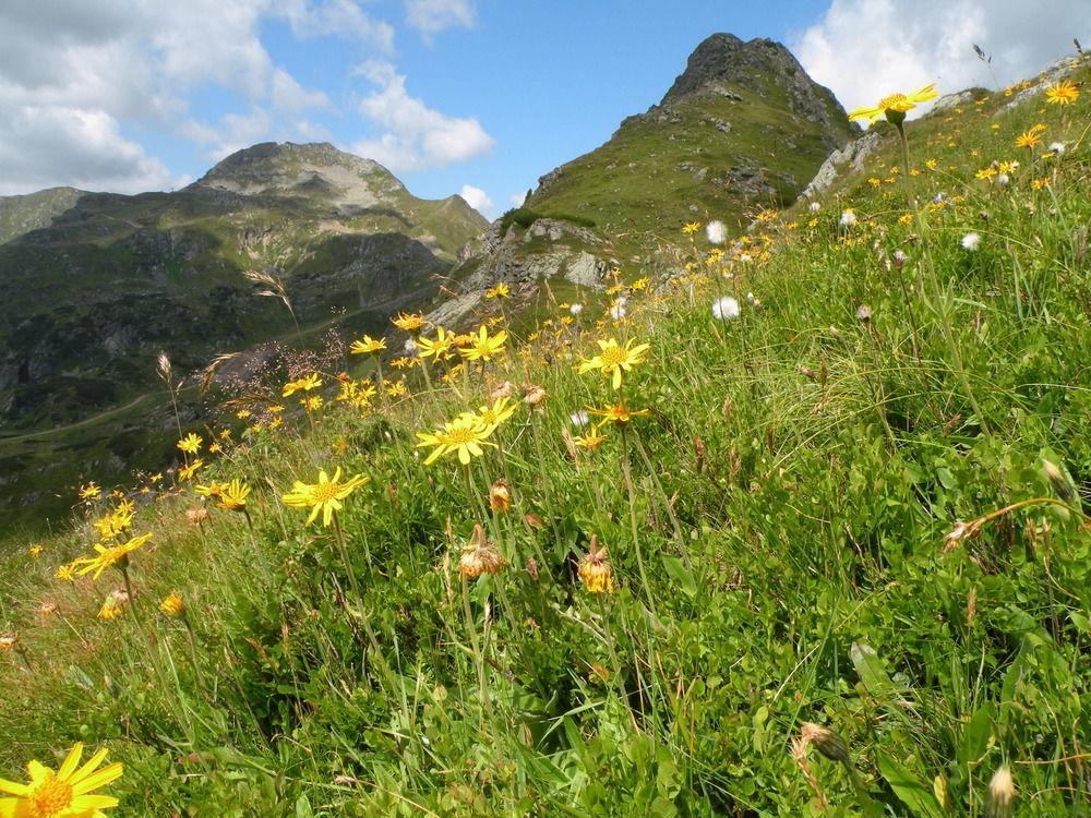 Premium Wanderhotel Steirerhof Schladming Dış mekan fotoğraf